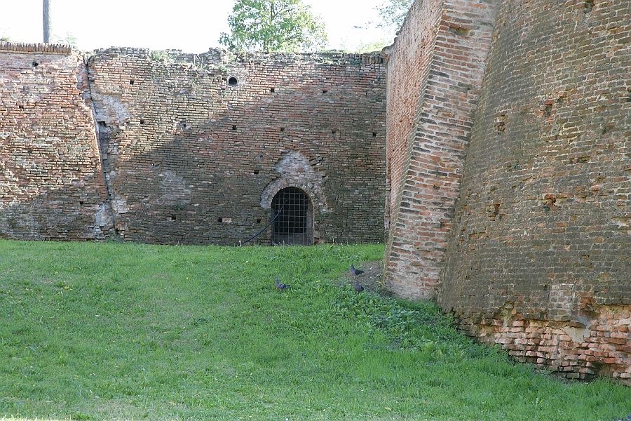 Img 194.jpg